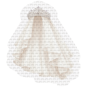 Velo de novia
